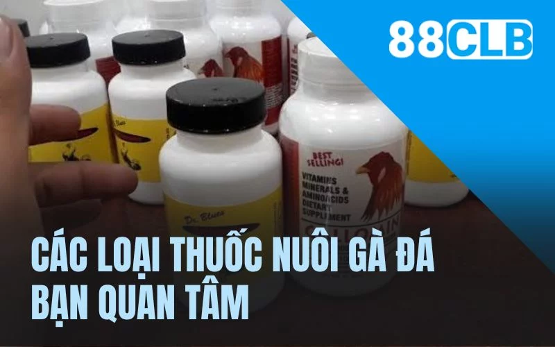 Các loại thuốc nuôi gà đá bạn quan tâm