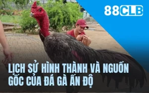 Lịch sử hình thành và nguồn gốc của đá gà Ấn Độ